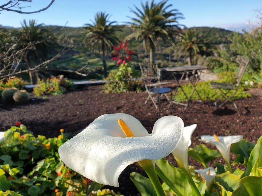 Casa Tara Ruhe Und Entspannung, Natur Pur Acardece Eksteriør bilde