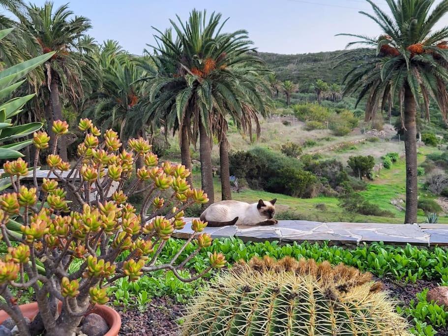 Casa Tara Ruhe Und Entspannung, Natur Pur Acardece Eksteriør bilde