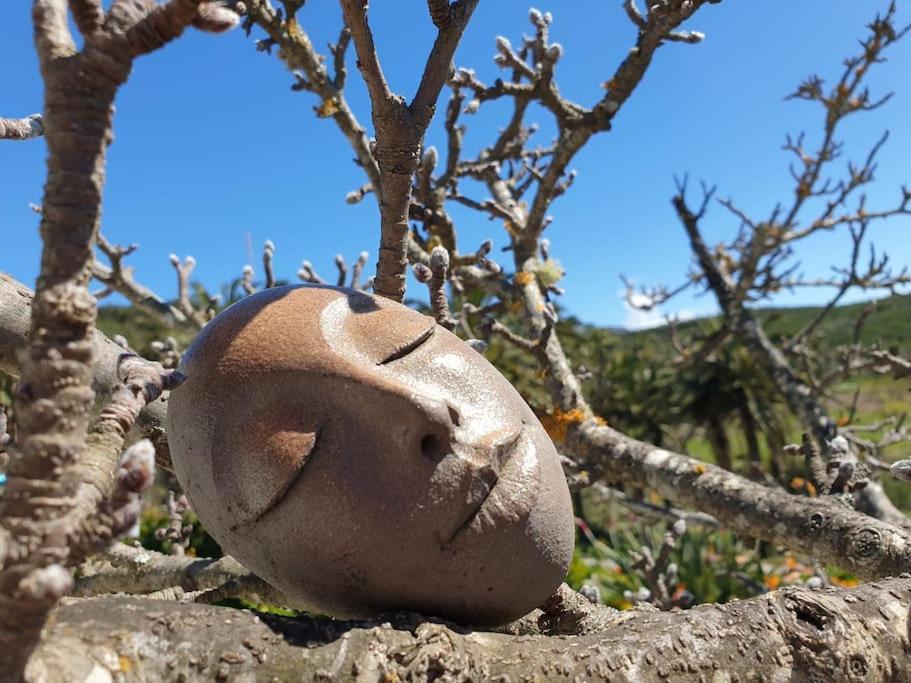 Casa Tara Ruhe Und Entspannung, Natur Pur Acardece Eksteriør bilde