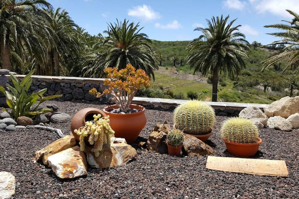 Casa Tara Ruhe Und Entspannung, Natur Pur Acardece Eksteriør bilde